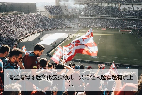 海登海姆球迷文化这股劲儿，凭啥让人越看越有点上头