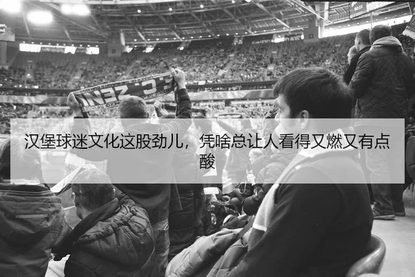 汉堡球迷文化这股劲儿，凭啥总让人看得又燃又有点酸