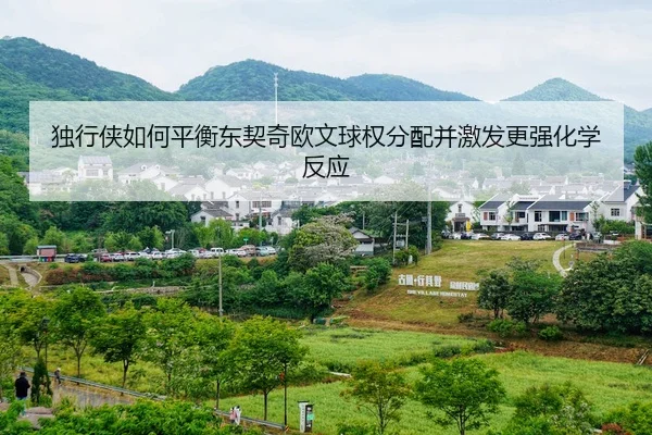 独行侠如何平衡东契奇欧文球权分配并激发更强化学反应