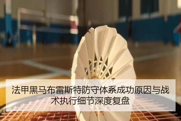 法甲黑马布雷斯特防守体系成功原因与战术执行细节深度复盘