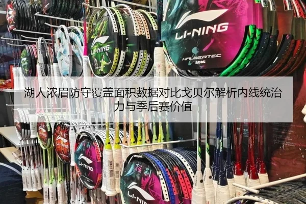 湖人浓眉防守覆盖面积数据对比戈贝尔解析内线统治力与季后赛价值