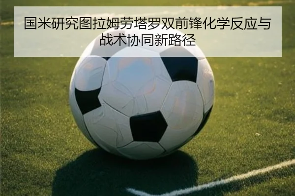 国米研究图拉姆劳塔罗双前锋化学反应与战术协同新路径