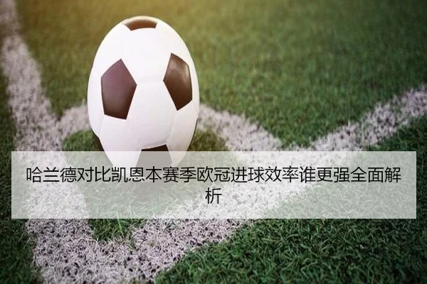 哈兰德对比凯恩本赛季欧冠进球效率谁更强全面解析