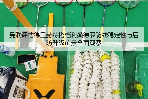 曼联评估德里赫特搭档利桑德罗防线稳定性与后防升级前景全面观察